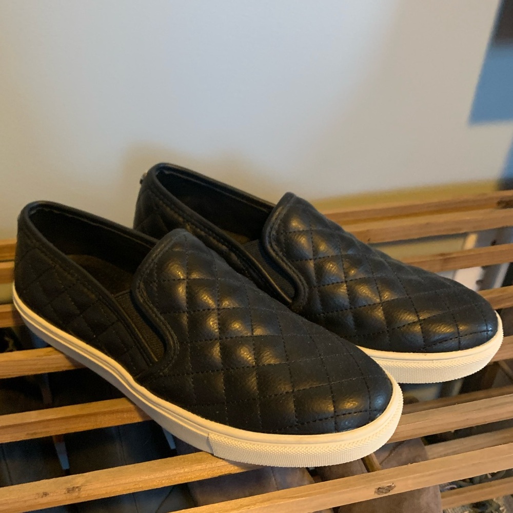 Steve Madden ECENTRIC-Q